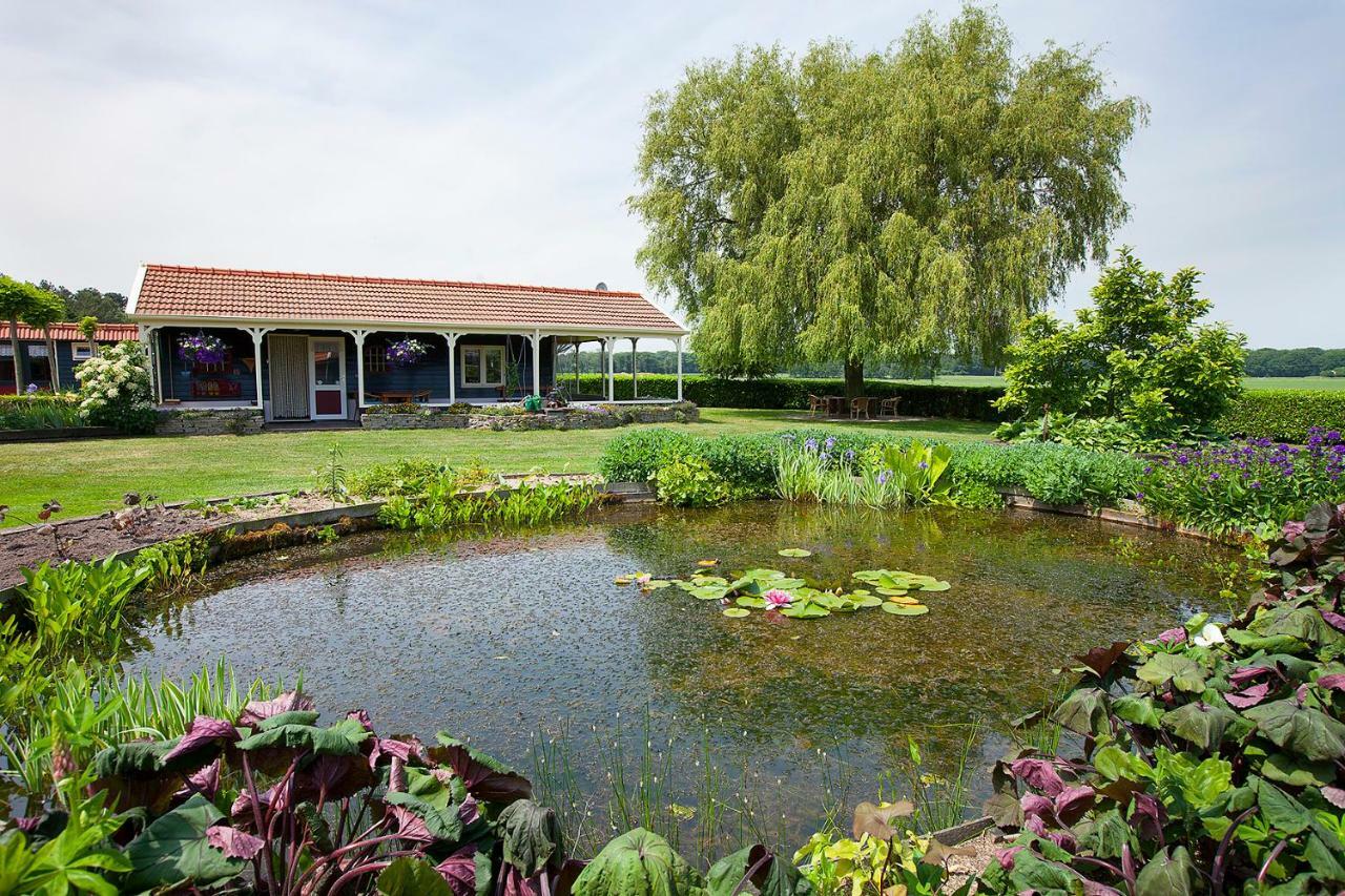 Inge'S Cottage Bergen op Zoom Eksteriør billede